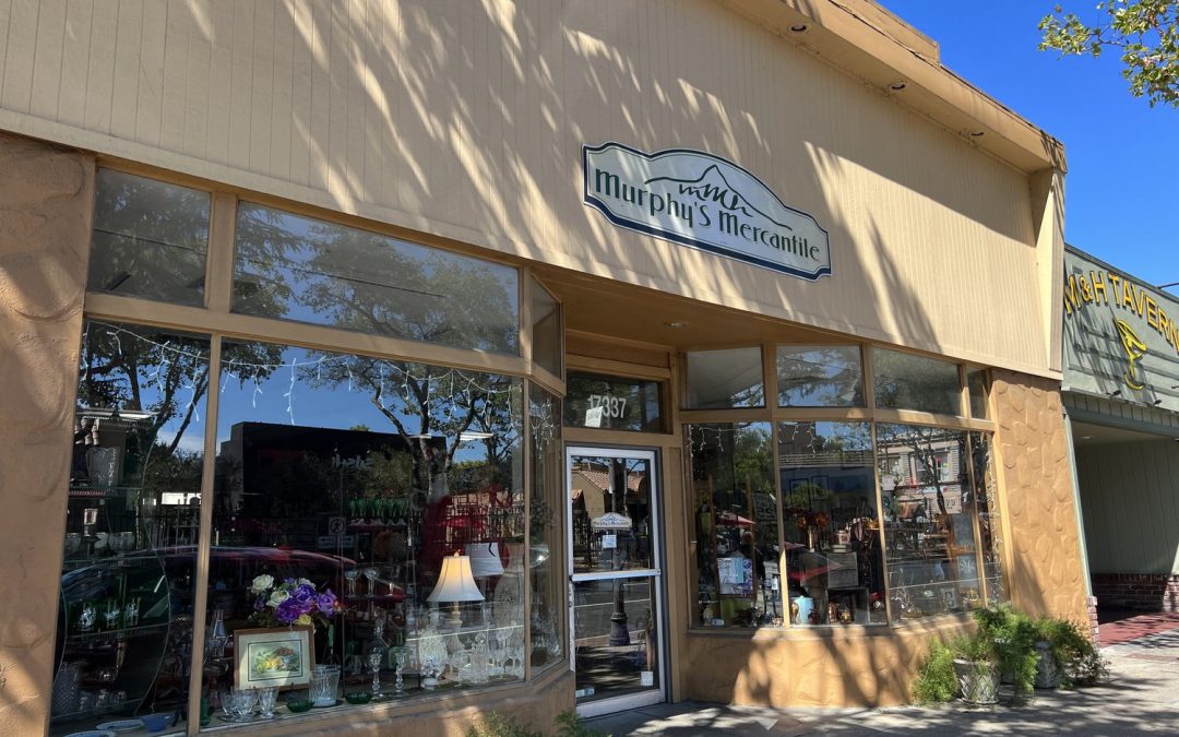 Discover the Hidden Gem of Morgan Hill in Silicon Valley