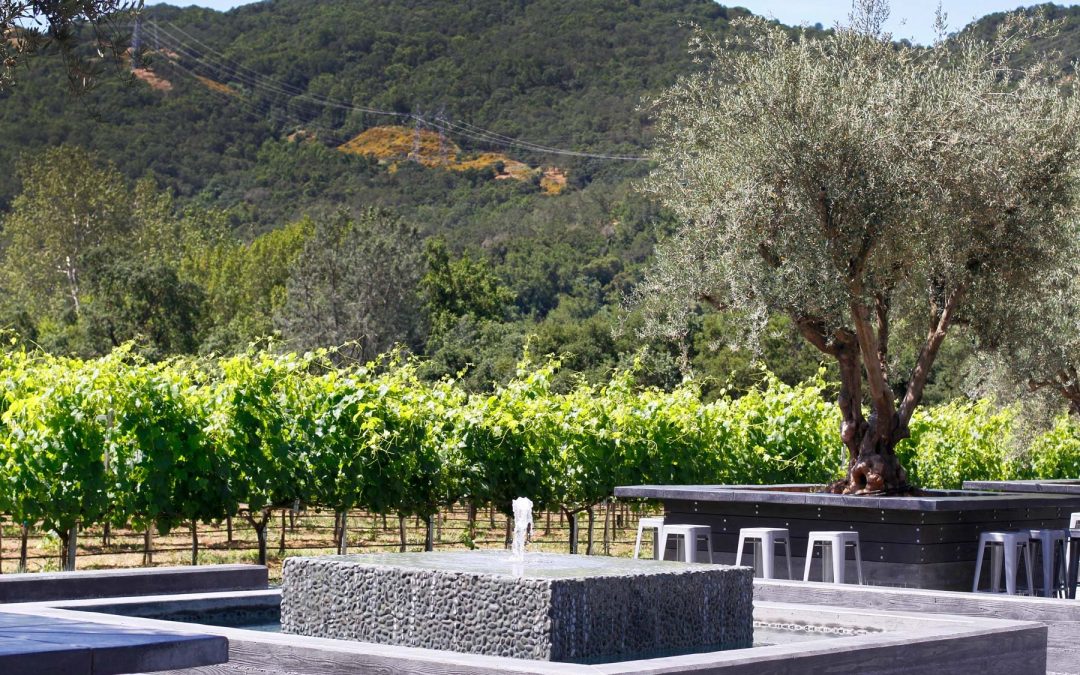 An Unforgettable Winemaking Experience at These Wineries in Morgan Hill