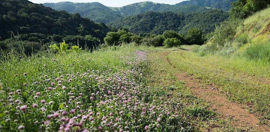 Discover the Untamed Beauty of Rancho Cañada del Oro with Peninsula Open Space Trust