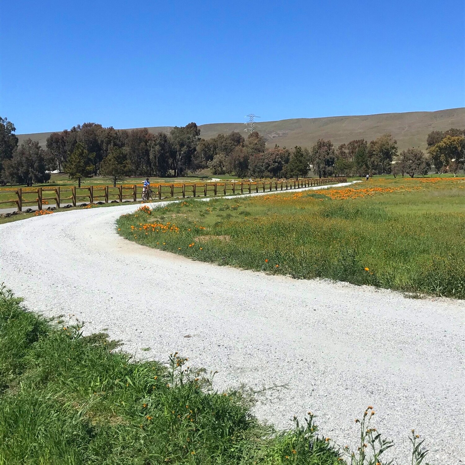 Discover the beauty of Morgan Hill on foot or by bike, amidst its enchanting landscapes and outdoor adventures.