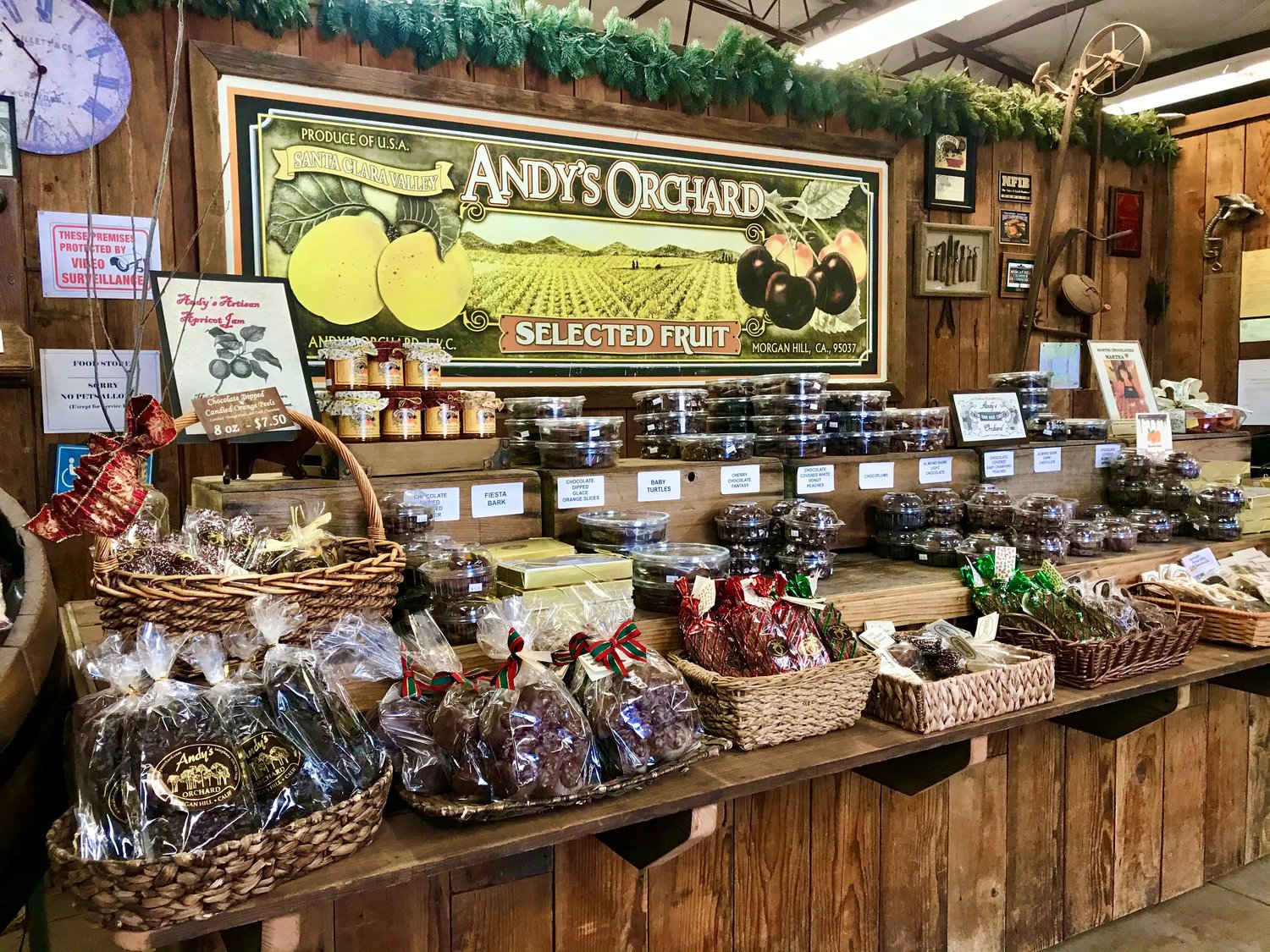 Discover the charm of Morgan Hill's small shops, where every purchase supports local artisans and the community.