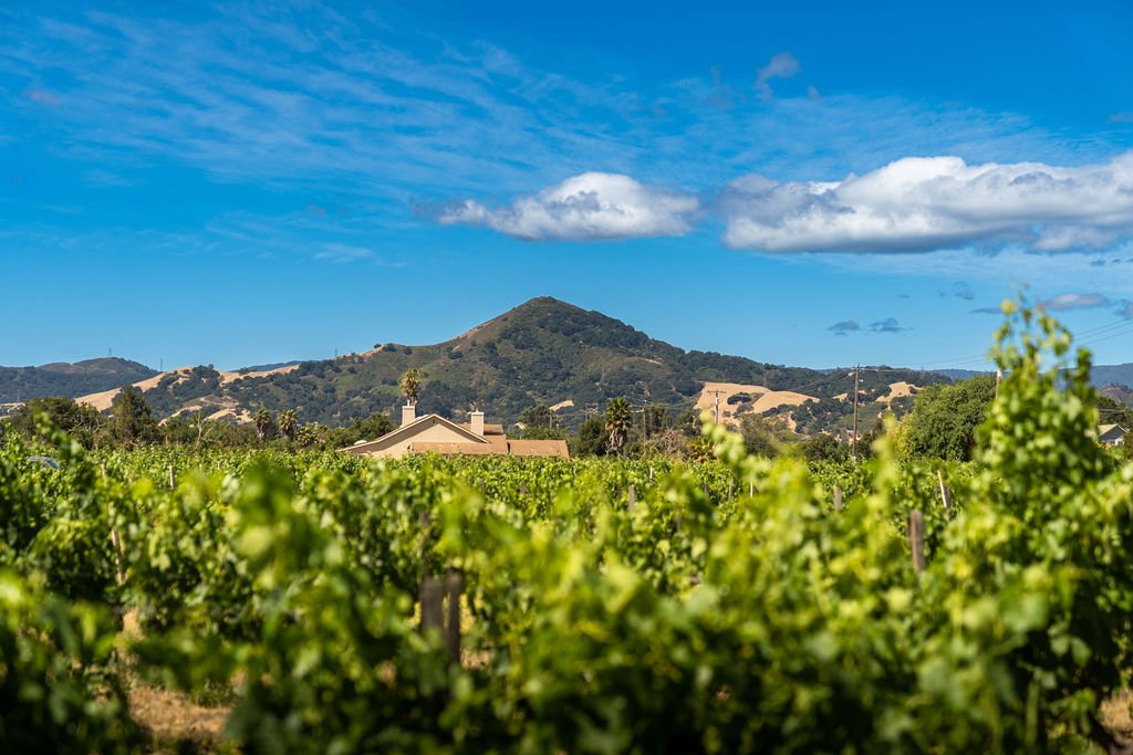 Discover what makes Morgan Hill a must-visit: From wine country to gourmet dining.