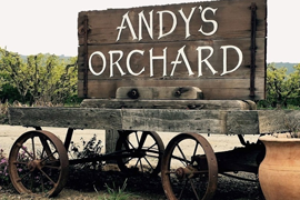 The Hidden Gem of Morgan Hill, CA: A Journey Through Andy’s Orchard