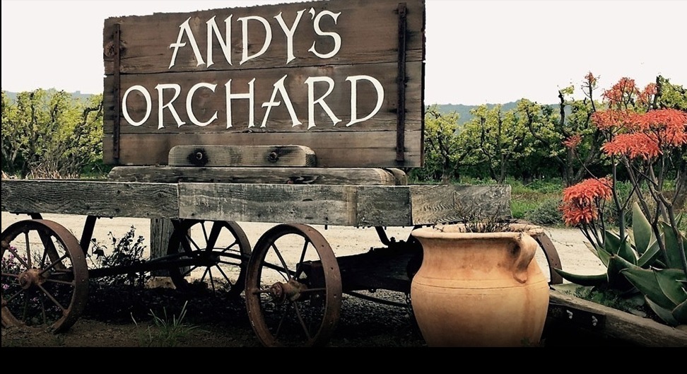 The Hidden Gem of Morgan Hill, CA: A Journey Through Andy’s Orchard