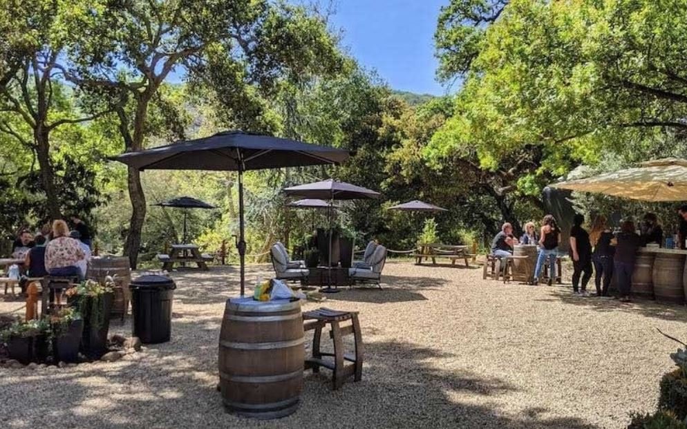 Vineyard Ventures in Morgan Hill and Santa Clara Valley: A Tasting Tour