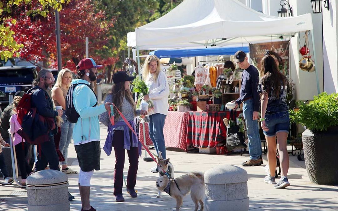 Morgan Hill Sidewalk Saturdays: October 2024 Street Fair Guide